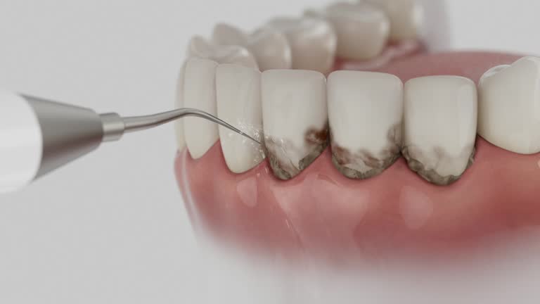 Reliable Dental contractor in Oak Hill, WV by Dentist Open Now